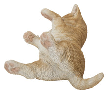 Load image into Gallery viewer, 87757-Y - LYING CAT
