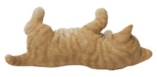 Load image into Gallery viewer, 87757-Y - LYING CAT
