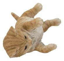 Load image into Gallery viewer, 87757-Y - LYING CAT
