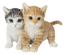 Load image into Gallery viewer, 87757-Z - KITTENS SITTING TOGETHER
