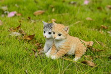 Load image into Gallery viewer, 87757-Z - KITTENS SITTING TOGETHER
