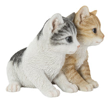 Load image into Gallery viewer, 87757-Z - KITTENS SITTING TOGETHER
