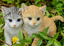 Load image into Gallery viewer, 87757-Z - KITTENS SITTING TOGETHER
