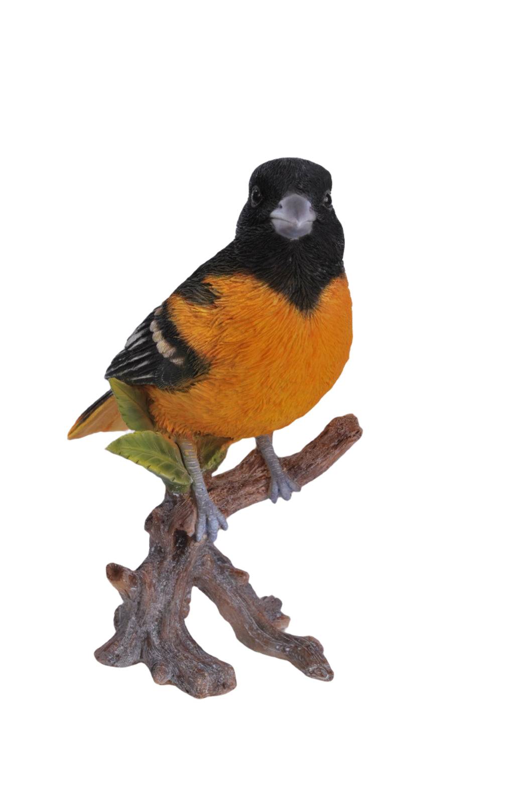 ORIOLE ON BRANCH