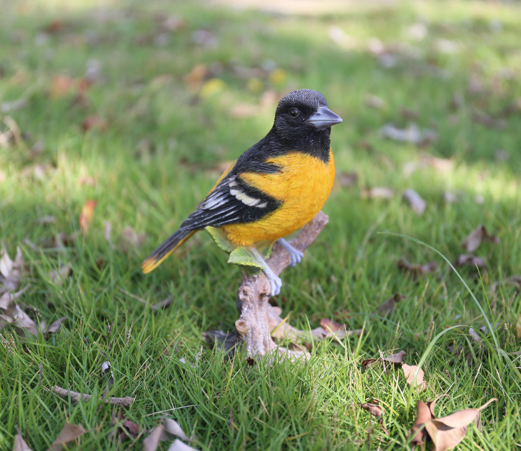 87758-D - ORIOLE ON BRANCH