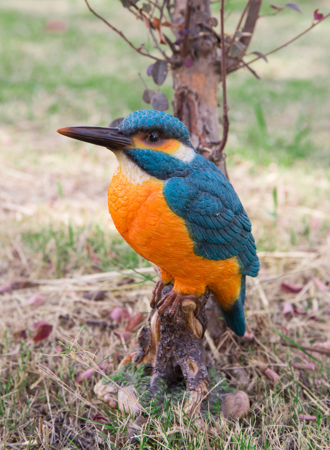 87758-E - KINGFISHER ON STUMP