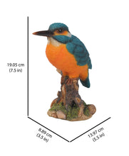 Load image into Gallery viewer, 87758-E - KINGFISHER ON STUMP
