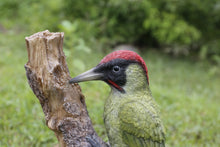 Load image into Gallery viewer, 87758-I - WOODPECKER ON STUMP
