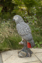 Load image into Gallery viewer, 87758-L - GREY GABON PARROT ON STUMP
