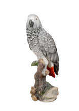 Load image into Gallery viewer, 87758-L - GREY GABON PARROT ON STUMP
