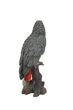 Load image into Gallery viewer, 87758-L - GREY GABON PARROT ON STUMP
