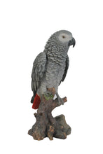 Load image into Gallery viewer, 87758-L - GREY GABON PARROT ON STUMP
