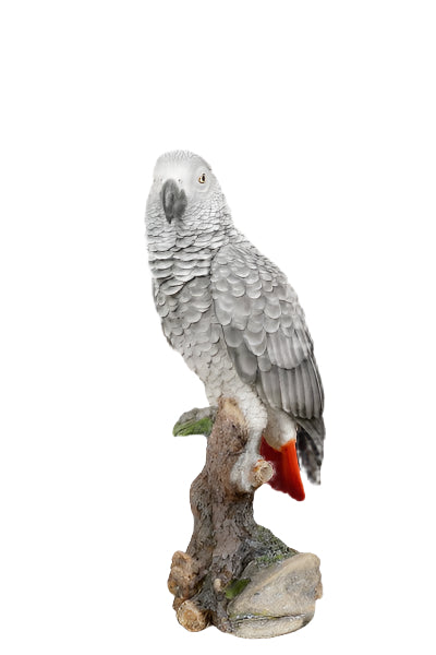 87758-L - GREY GABON PARROT ON STUMP
