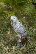 Load image into Gallery viewer, 87758-L - GREY GABON PARROT ON STUMP
