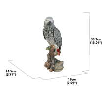 Load image into Gallery viewer, 87758-L - GREY GABON PARROT ON STUMP
