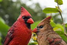 Load image into Gallery viewer, 87758-N - CARDINALS ON STUMP
