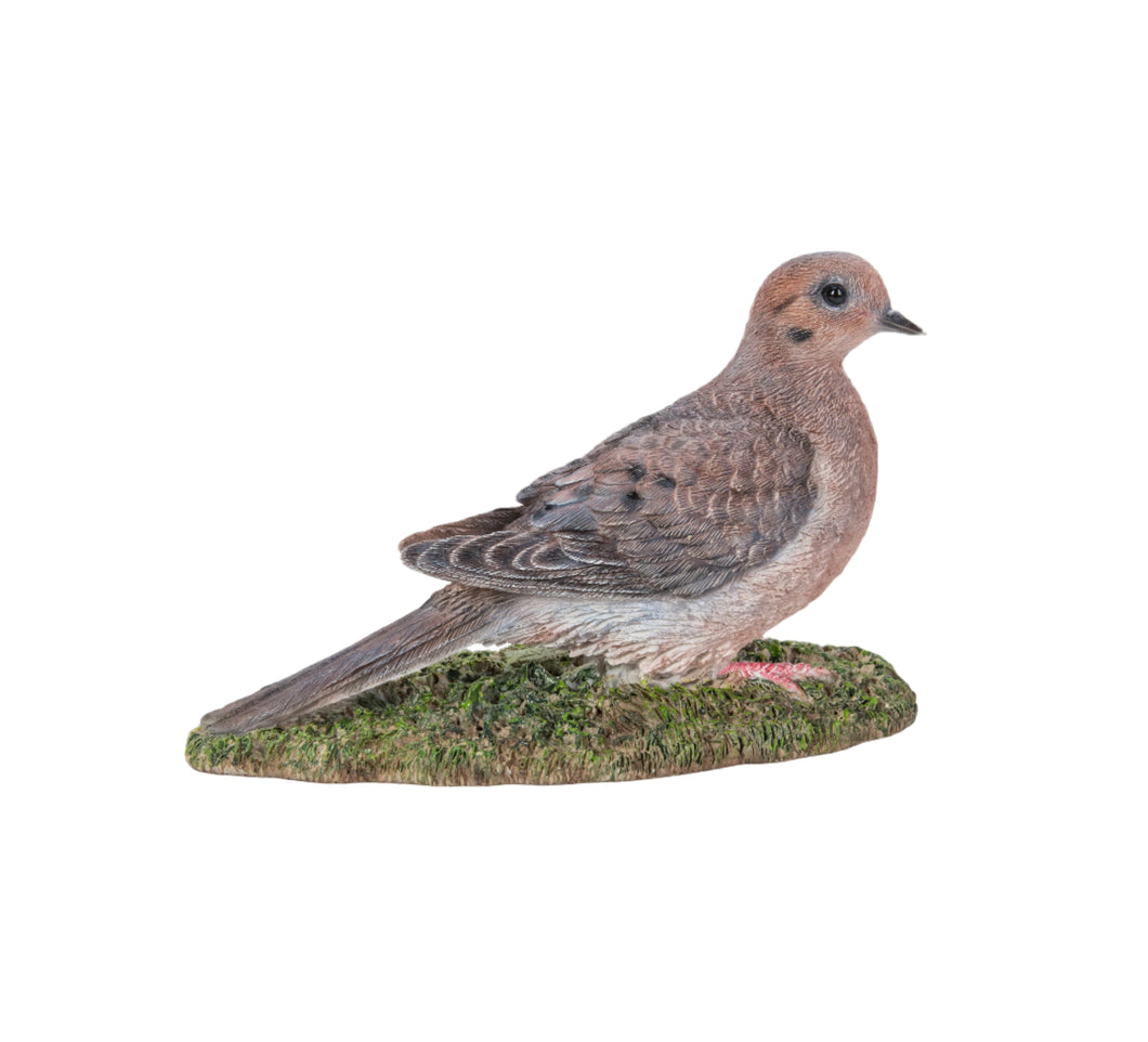 87758-S - MOURNING DOVE ON GRASS
