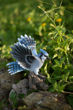 Load image into Gallery viewer, Soreal - Blue Jay Standing  Stump
