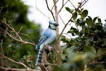 Load image into Gallery viewer, Soreal - Blue Jay Standing  Stump
