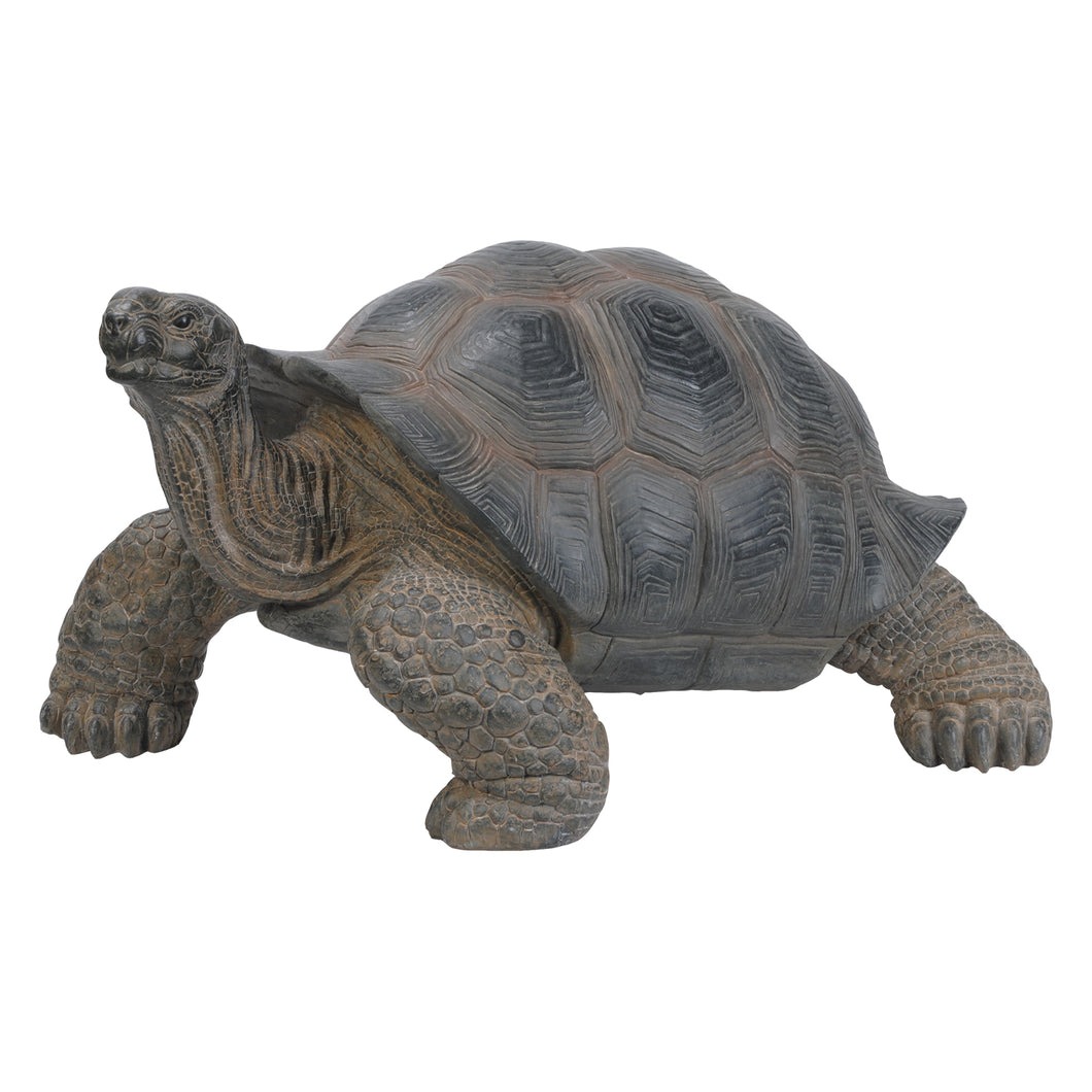 87761-L - TORTOISE XL