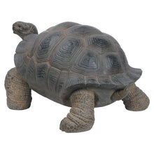 Load image into Gallery viewer, 87761-L - TORTOISE XL
