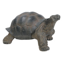 Load image into Gallery viewer, 87761-L - TORTOISE XL
