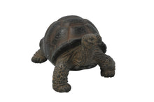 Load image into Gallery viewer, 87761-S - TORTOISE SMALL
