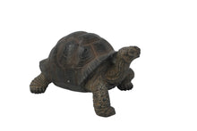 Load image into Gallery viewer, 87761-S - TORTOISE SMALL
