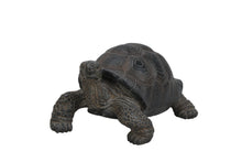 Load image into Gallery viewer, 87761-S - TORTOISE SMALL
