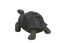 Load image into Gallery viewer, 87761-S - TORTOISE SMALL
