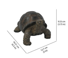 Load image into Gallery viewer, 87761-S - TORTOISE SMALL
