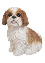 Load image into Gallery viewer, 87762-BR - DOG-SHIH TZU SITTING - BROWN/WHITE
