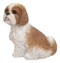 Load image into Gallery viewer, 87762-BR - DOG-SHIH TZU SITTING - BROWN/WHITE
