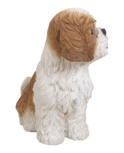 Load image into Gallery viewer, 87762-BR - DOG-SHIH TZU SITTING - BROWN/WHITE
