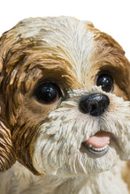 Load image into Gallery viewer, 87762-BR - DOG-SHIH TZU SITTING - BROWN/WHITE
