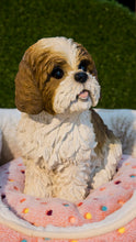 Load image into Gallery viewer, 87762-BR - DOG-SHIH TZU SITTING - BROWN/WHITE
