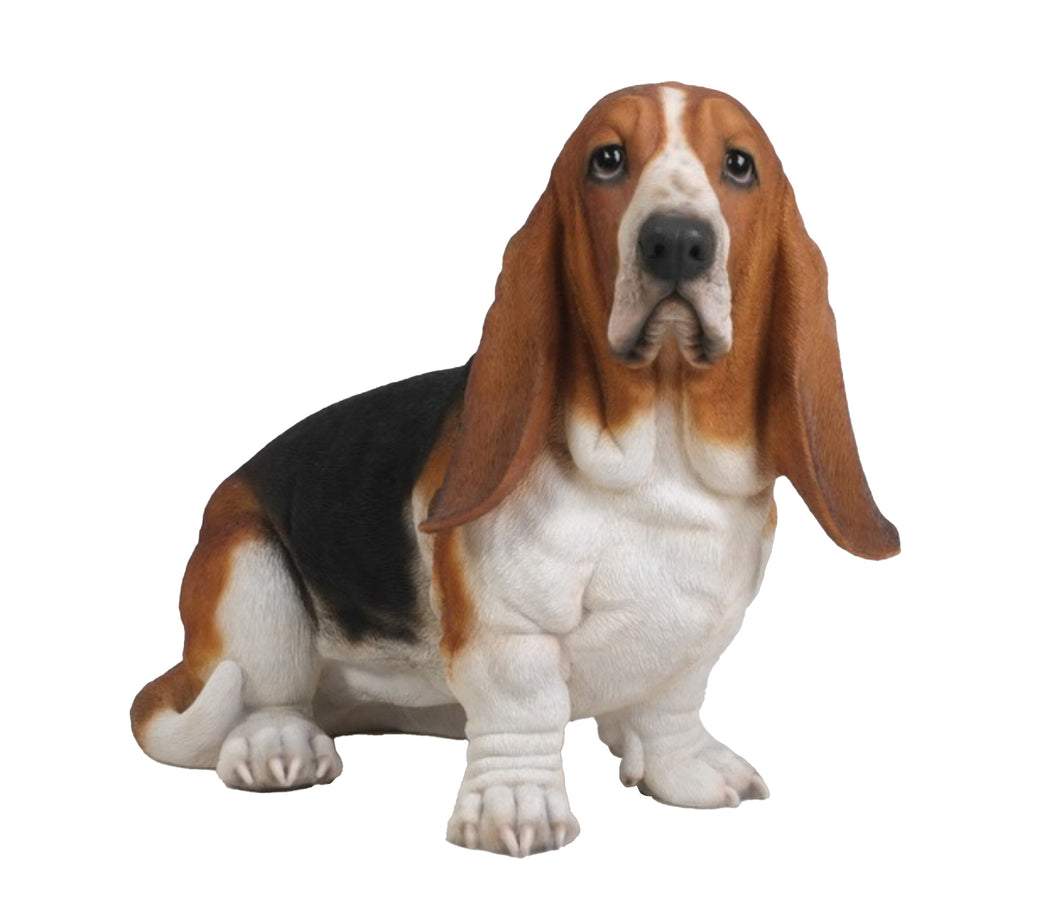 87763 - DOG-BASSET HOUND-LARGE