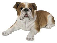 Load image into Gallery viewer, 87764-B - LYING BULLDOG
