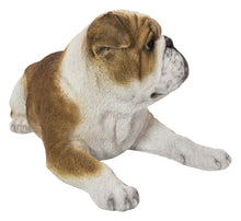 Load image into Gallery viewer, 87764-B - LYING BULLDOG
