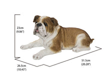 Load image into Gallery viewer, 87764-B - LYING BULLDOG
