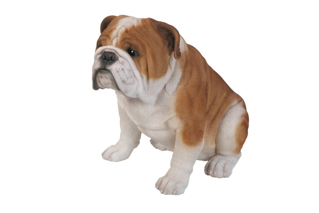 87764 - DOG-BULLDOG-LARGE