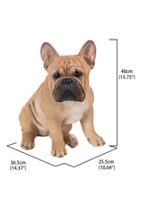 Load image into Gallery viewer, 87765-B - DOG-FRENCH BULLDOG SQUATTING
