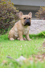 Load image into Gallery viewer, 87765-B - DOG-FRENCH BULLDOG SQUATTING
