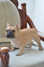 Load image into Gallery viewer, 87765 - DOG-FRENCH BULLDOG-LARGE
