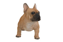 Load image into Gallery viewer, 87765 - DOG-FRENCH BULLDOG-LARGE
