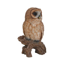 Load image into Gallery viewer, 87767-D - TAWNY OWL ON STUMP - SMALL
