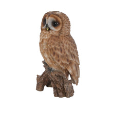 Load image into Gallery viewer, 87767-D - TAWNY OWL ON STUMP - SMALL
