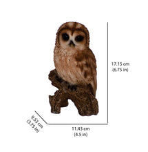 Load image into Gallery viewer, 87767-D - TAWNY OWL ON STUMP - SMALL
