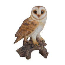 Load image into Gallery viewer, 87767-E - BARN OWL ON STUMP - SMALL
