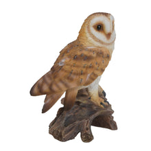 Load image into Gallery viewer, 87767-E - BARN OWL ON STUMP - SMALL
